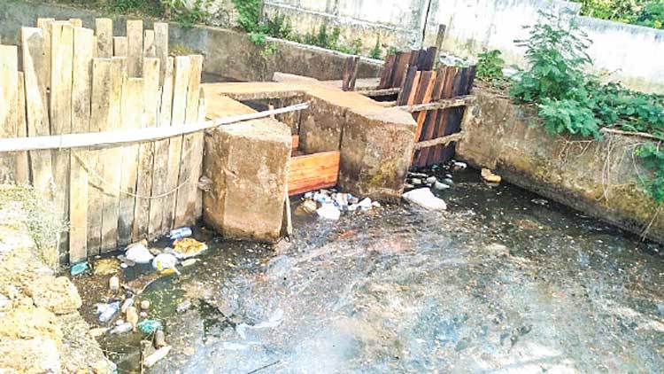 മാളച്ചാലിലെ വെള്ളത്തിൽ കോളിേഫാം ബാക്ടീരിയ