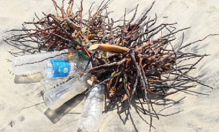 അനധികൃത കണവ പിടിത്തം വ്യാപകം;  തീരത്ത് പ്ലാസ്​റ്റിക് മാലിന്യക്കൂമ്പാരം