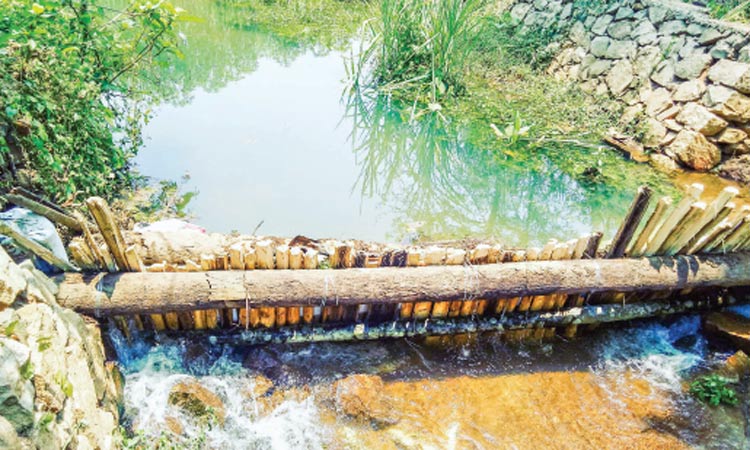 കർഷകർ ഒത്തൊരുമിച്ചു; വരൾച്ചക്ക് തടയിട്ടു