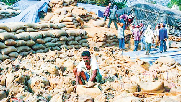 രാഷ്​ട്രീയ–ഉദ്യോഗസ്​ഥ കൂട്ടുകെട്ട്​; റേഷൻ വിതരണം അവതാളത്തിൽ