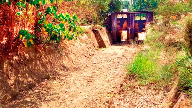 വരൾച്ച ശക്തമാകുന്നു; ഇടതുകര, വലതുകര മെയിൻ കനാലുകൾ ഉടൻ തുറക്കണം