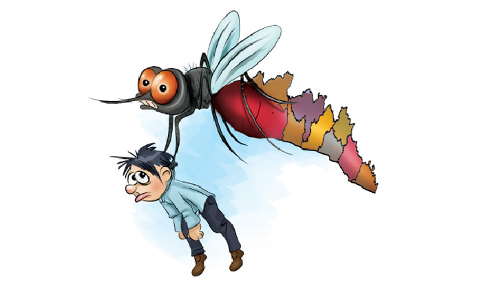 ചിക്കൻപോക്സ്, ഡെങ്കിപ്പനി കരുതൽ വേണം