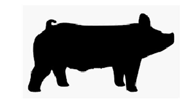 വ​ന്യ​മൃ​ഗ​ശ​ല്യം രൂ​ക്ഷം: ക​ർ​ഷ​ക​ർ ദു​രി​ത​ത്തി​ൽ