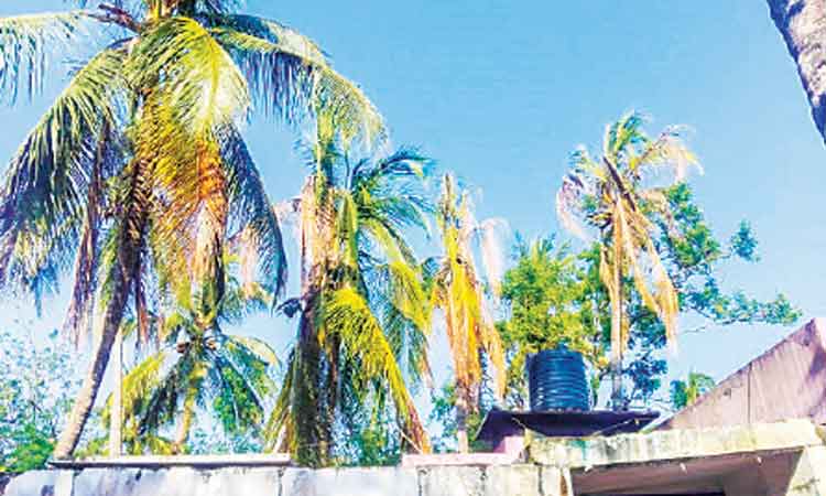 തീരപ്രദേശം കുടിവെള്ള ക്ഷാമത്തിൽ