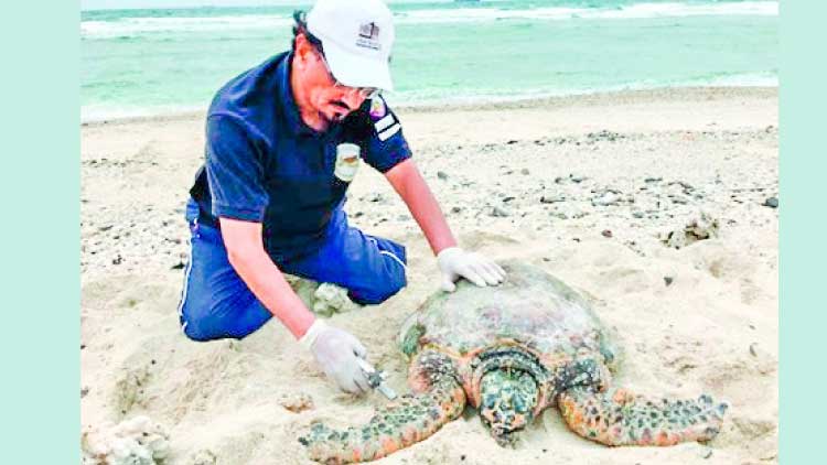 വി​​ട്ടു​​വീ​​ഴ്​​​ച​​യി​​ല്ല, സ​​​സ്യ​​-​ജ​​​ന്തു​​​ജാ​​​ല​ സം​​ര​​ക്ഷ​​ണ​​കാ​​ര്യ​​ത്തി​​ൽ