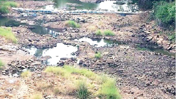 വാമനപുരം നദിയും ചിറ്റാറും വരണ്ടു