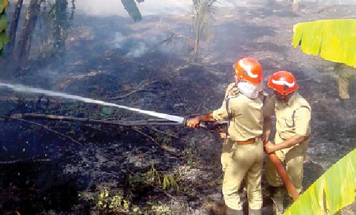 വണ്ടിപ്പുരയിൽ പുൽക്കാടിന് സാമൂഹികവിരുദ്ധർ തീയിട്ടു