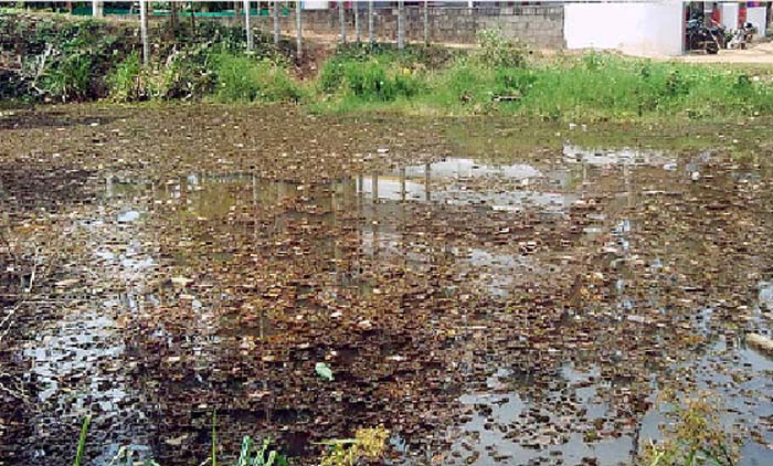 പെരുംകൂര്‍ ഉൗരുക്കോണം ചിറ നാശത്തി​െൻറ വക്കില്‍