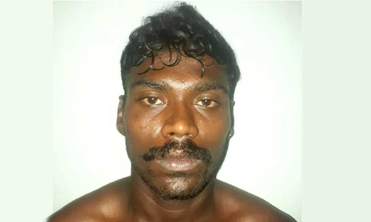 പൊലീസുകാര​െൻറ വീട്ടിൽ ഒളിവിൽ കഴിഞ്ഞ  നിരവധി കേസുകളിലെ പ്രതി പിടിയിൽ