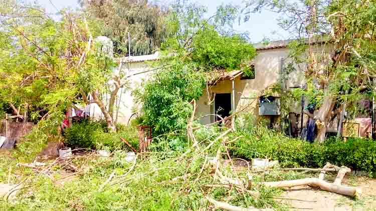 ഉ​മ്മു​ൽ ഖു​വൈ​നി​ൽ പൊ​ടി​ക്കാ​റ്റും മ​ഴ​യും