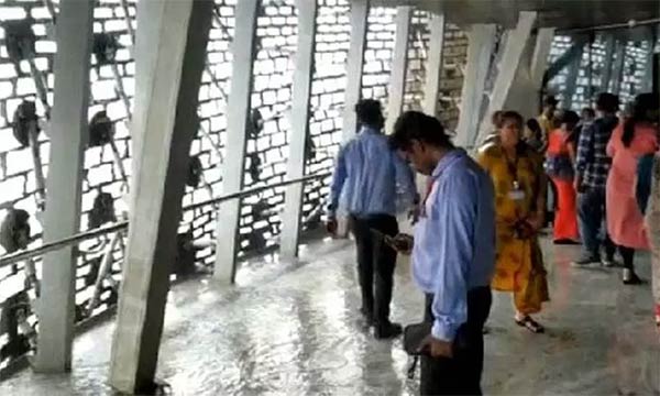 മഴയിൽ ചോർന്ന്​ പ​ട്ടേൽ പ്രതിമ