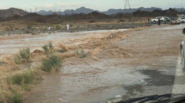 ന്യൂ​ന​മ​ർ​ദം: വി​വി​ധ ഗ​വ​ർ​ണ​റേ​റ്റു​ക​ളി​ൽ ക​ന​ത്ത​മ​ഴ 