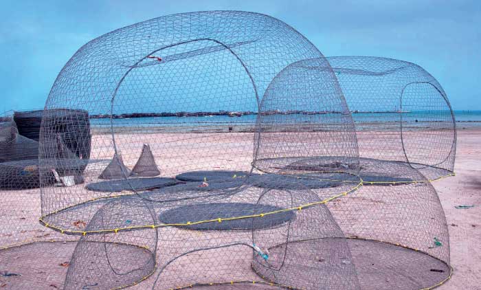 ക​ട​ലി​ൽ​നി​ന്ന്​ ഗ​ർ​ഗൂ​ർ വ​ല​ക​ൾ നീ​ക്കം ചെ​യ്യാ​ൻ നി​ർ​ദേ​ശം