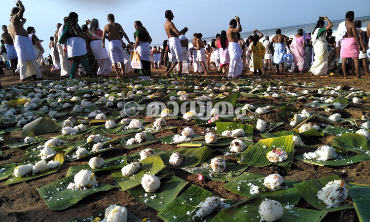 കർക്കിടക വാവ്​: ആയിരങ്ങൾ ബലിതർപ്പണം നടത്തി VIDEO