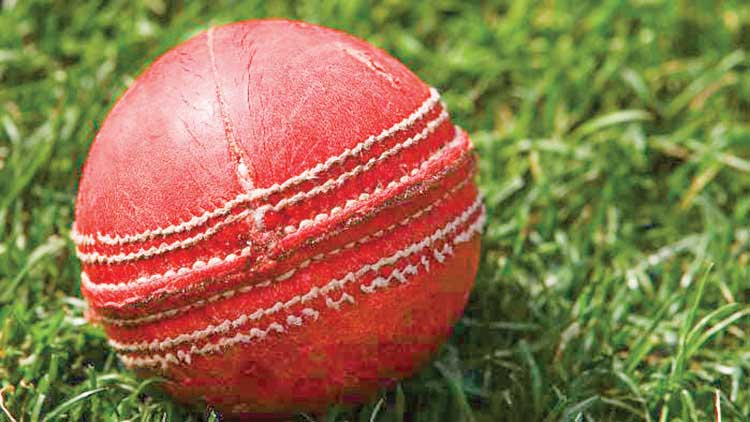 vegan-cricket-ball