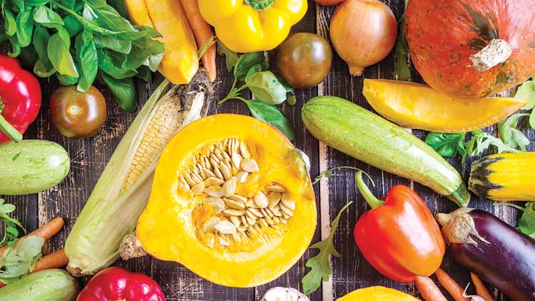 വെ​ട്ടു​കി​ളി​ക്ക്​ മ​രു​ന്ന്​ ത​ളി​ച്ചു; കു​വൈ​ത്ത്​ പ​ച്ച​ക്ക​റി സൂ​ക്ഷി​ച്ച്​ ഉ​പ​യോ​ഗി​ക്ക​ണം