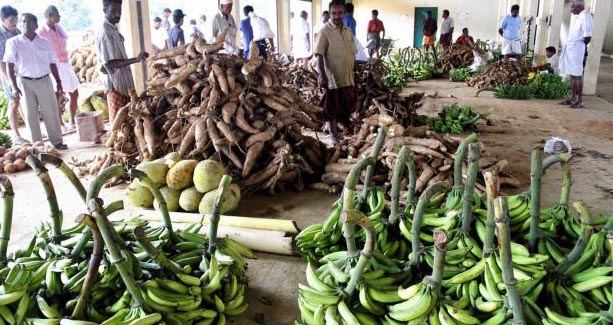 ന്യായവിലയില്ല; കണ്ണീരൊഴുക്കി കര്‍ഷകര്‍