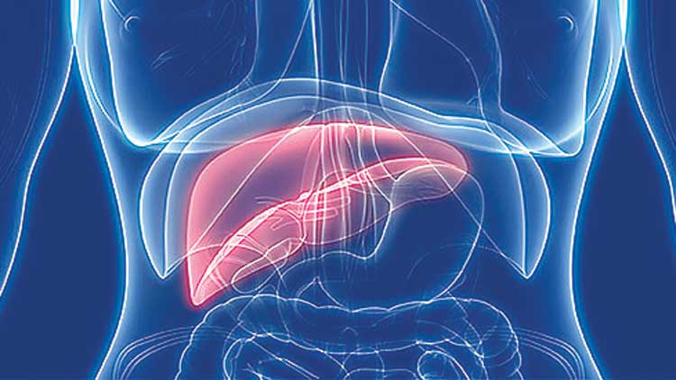 ​െഹപ്പ​റ്റൈറ്റിസ് ബാധയെ പടികടത്തും
