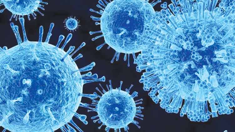 വിദ്യാർഥികൾക്കും അധ്യാപകർക്കും പകർച്ചപ്പനി