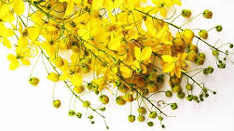 ​കോ​വി​ഡ്​ വ​ല​യ​ത്തി​ൽ  പ്ര​വാ​സി​ക​ൾ​ക്ക്​ നി​റ​മി​ല്ലാ​ത്ത വി​ഷു