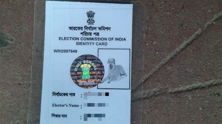 voter-id-card-with-dogs-photo