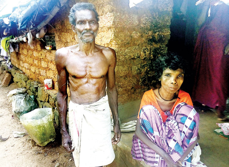 പട്ടയമില്ല; കക്കൂസ് പോലും പണിയാനാകാതെ വൃദ്ധ ദമ്പതികള്‍