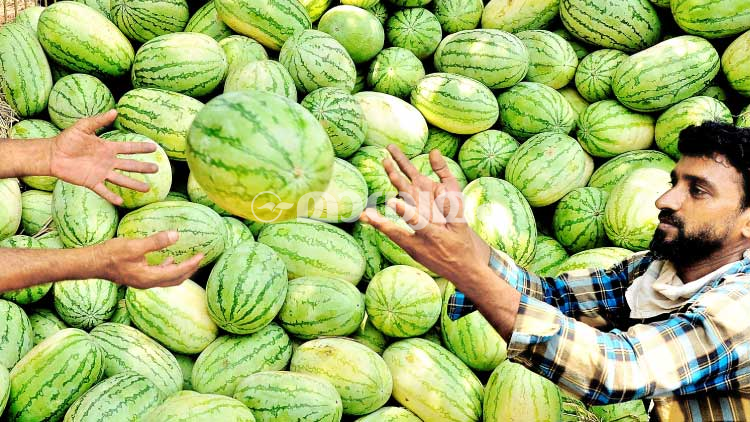 വിപണി ഉണർത്താൻ തണ്ണിമത്തൻ;  പ​ഴ​വ​ർ​ഗ​ങ്ങ​ൾ കൂ​ടു​ത​ൽ എ​ത്തി​ത്തു​ട​ങ്ങി