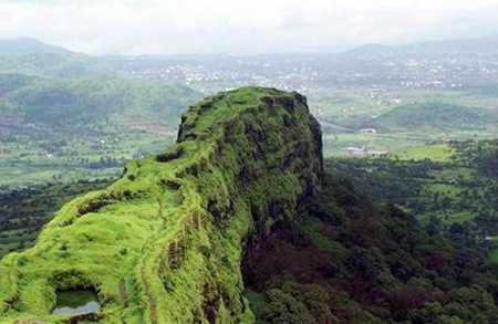 മലയോരത്ത്​ തെരഞ്ഞെടുപ്പ് ചർച്ച വിഷയമായി ബഫർ സോൺ
