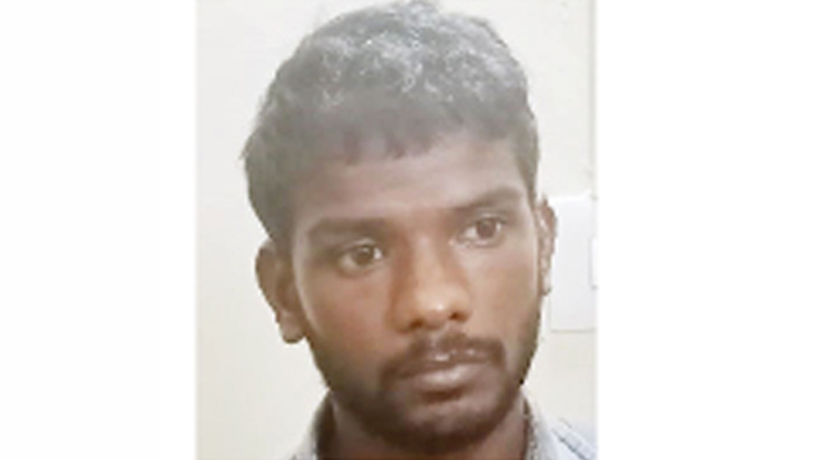 ആന ചെരിഞ്ഞ സംഭവം: പ്രതി റിമാൻഡിൽ