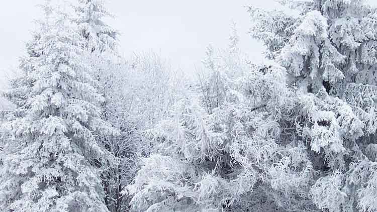കൊടുംതണുപ്പിെൻറ ദിനം കഴിഞ്ഞു; ഇന്നുമുതൽ ഉൗഷ്മാവ് ഉയരും കൊടുംതണുപ്പിെൻറ ദിനം കഴിഞ്ഞു; ഇന്നുമുതൽ ഉൗഷ്മാവ് ഉയരും