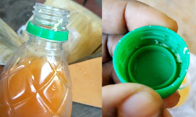 worm-found-in-cool-drink