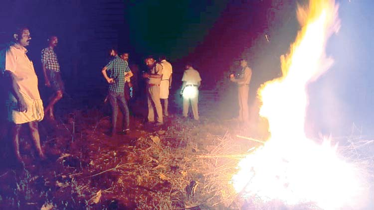 ക​ടു​വപ്പേടിയിൽ ക​ബ​നി തീ​ര​പ്ര​ദേ​ശ​ങ്ങ​ൾ