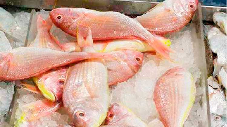 ഭ​ക്ഷ്യ​യോ​ഗ്യ​മ​ല്ലാ​ത്ത മീ​ൻ വി​റ്റെ​ന്ന്; വി​ജി​ല​ൻ​സ് സ്ക്വാ​ഡ്  പ​രി​ശോ​ധ​ന ന​ട​ത്തി