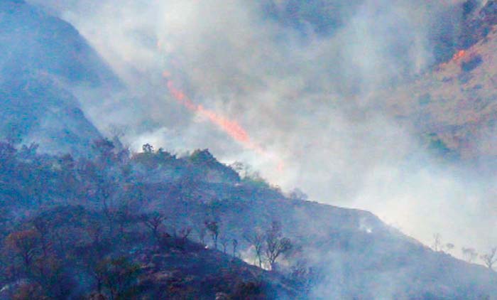 കെ​ടാ​തെ ബാ​ണാ​സു​ര മ​ല​യി​ലെ കാ​ട്ടു​തീ