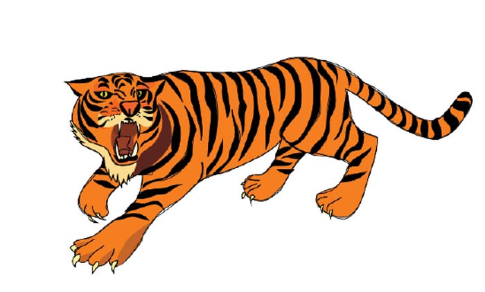 കടുവ ഭീതി ഒഴിയാതെ പുൽപള്ളി