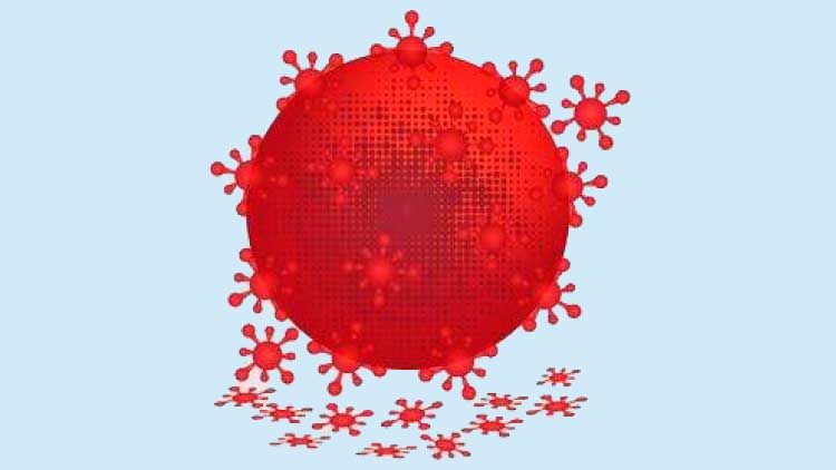 യാം​ബു​വി​ൽ രോ​ഗി​ക​ളു​ടെ എ​ണ്ണം 100 ക​വി​ഞ്ഞു; നി​യ​ന്ത്ര​ണം ക​ർ​ശ​നം