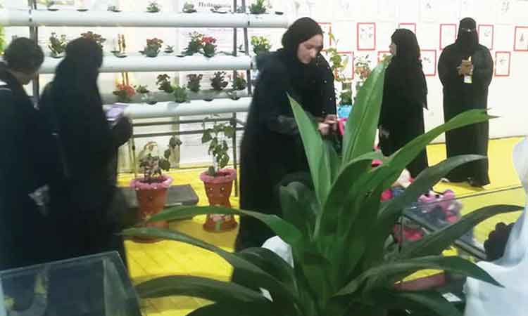 പുഷ്പമേളയിൽ ‘ഹൈഡ്രോപോണിക്സ്’ സാങ്കേതിക വിദ്യയുടെ അറിവുകളും