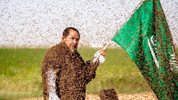 തേ​നീ​ച്ച​പ്ര​ണ​യ​ത്തി​ൽ ഗി​ന്ന​സ്​ റെ​ക്കോ​ഡ്​ ത​ക​ർ​ക്കാ​ൻ സു​ഹൈ​ർ ഫ​ത്വാ​നി